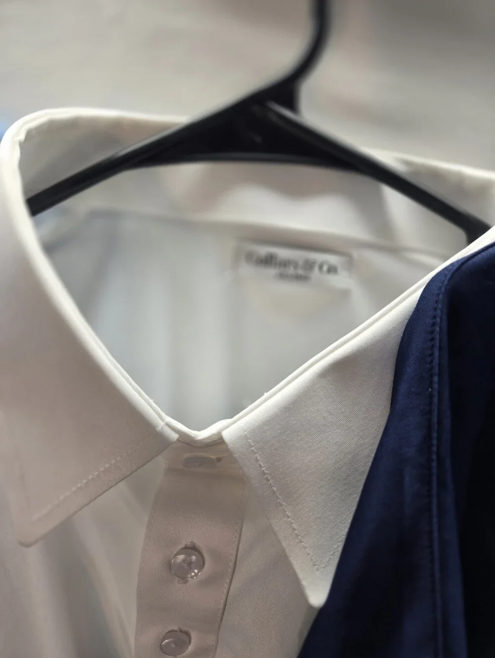 Collars & Co. lot collars